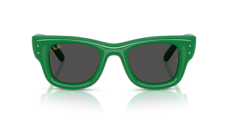 Ray-Ban Wayfarer 4940 683487 ASAP Rocky