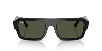 Ray-Ban 4454 6677/31