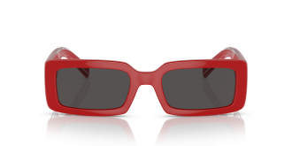 Dolce & Gabbana 6187 309687