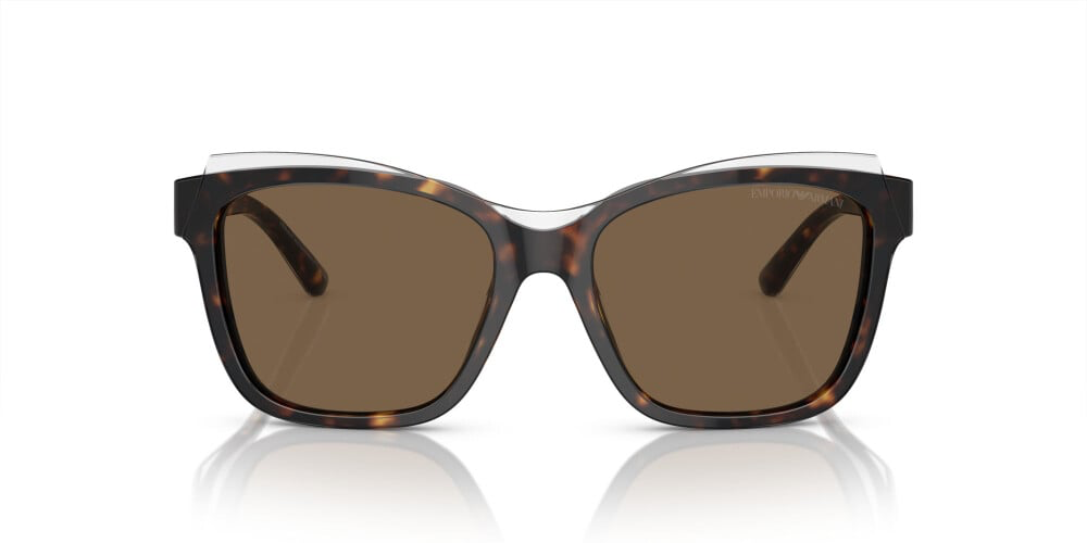 Emporio Armani 4209  6052/73